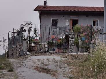 A small grey house with a red roof sits behind a metal gate adorned with colorful decorations. A white dog is visible, surrounded by plants and flowers.