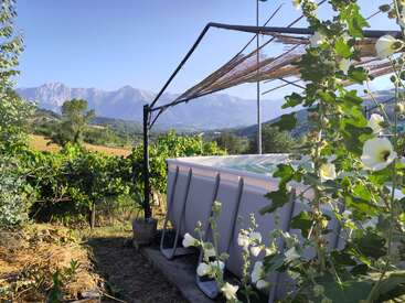 A serene rural scene featuring a small pool, white flowers, grapevines, and a pergola, set against distant mountains under a clear blue sky.