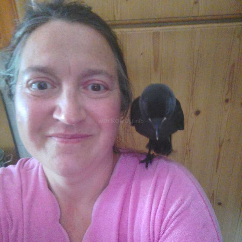 A smiling woman in a pink robe takes a selfie, while a black bird perches calmly on her shoulder, set against a wooden background indoors.