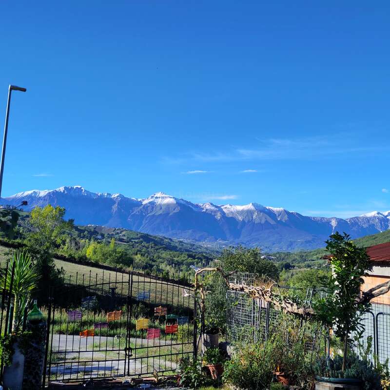 Un impresionante paisaje presenta una puerta de jardín que se abre a exuberantes colinas verdes, plantas vibrantes y majestuosas montañas nevadas bajo un cielo azul claro y brillante.