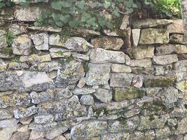 This image shows an old stone wall with irregularly shaped rocks. Ivy and green plants grow along the top, while moss and lichen cover some stones.