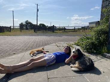 A woman lies on a stone driveway with a cat and dog, surrounded by a fence and gate, under a blue sky with white clouds.