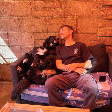 A man and a black dog relax together on a couch under warm sunlight. Both look peaceful, sitting closely and sharing a cozy, affectionate moment indoors.