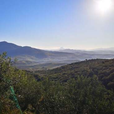Las onduladas colinas y montañas verdes se extienden hasta el horizonte bajo un cielo azul y despejado. El sol resplandeciente ilumina el tranquilo y frondoso paisaje.