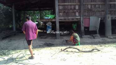 The image depicts a man and a woman working together in a yard, with a wooden structure in the background and a pile of branches on the ground.