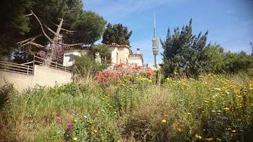 La imagen representa una serena escena de una casa y una torre en medio de un vibrante campo de flores silvestres y árboles bajo un cielo azul despejado.