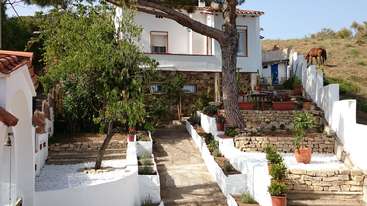 La imagen representa una serena escena de una casa con un gran patio, con un árbol y una valla, rodeada de un frondoso césped verde, que evoca una sensación de tranquilidad y belleza natural.