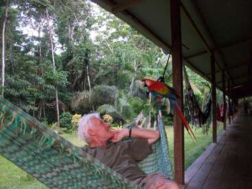 Un anciano se relaja en una hamaca verde en un porche de madera, observando tranquilamente un colorido loro posado cerca, rodeado de exuberante vegetación de la selva tropical.