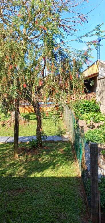 Um quintal iluminado pelo sol apresenta um gramado verde, uma árvore frondosa com flores vermelhas, uma cerca de arame, plantas de jardim, um caminho e uma casa rústica. Céu claro.