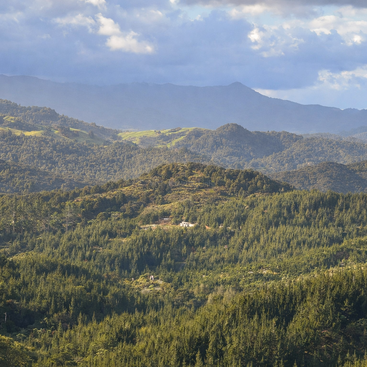 A lush, green forest stretches across rolling hills under a dramatic cloudy sky. Distant mountains fade into the horizon, with scattered sunlight highlighting the landscape.