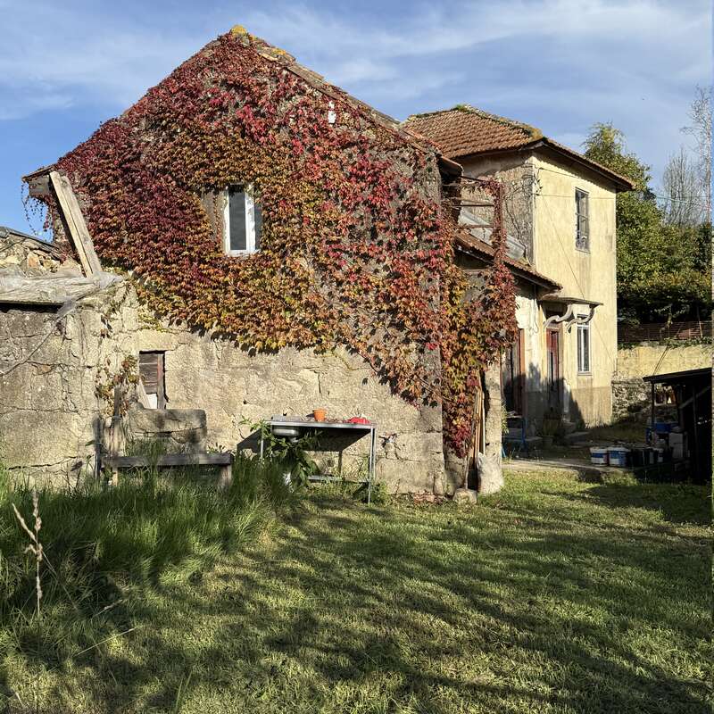 An old stone house with ivy-covered walls stands in a grassy yard, bathed in sunlight, with outdoor benches and a table, creating a rustic countryside scene.