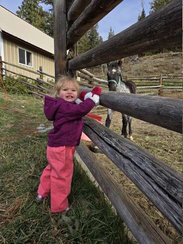 A smiling toddler in a purple jacket and red mittens stands by a wooden fence, reaching towards a horse in a grassy outdoor setting.