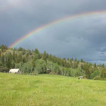 Un arco iris vibrante se arquea en un cielo nublado sobre un campo verde y frondoso bordeado por un denso bosque. Pequeñas casas se esconden tranquilamente entre los árboles lejanos.