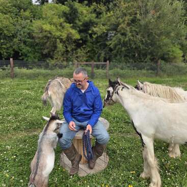 A man in a blue jacket sits on a wooden spool outdoors, surrounded by a goat and two horses, all on a grassy, fenced field.