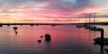 Ein wunderschöner Sonnenuntergang taucht den Himmel und das Wasser in Rosa- und Violetttöne, während Segelboote friedlich in einer ruhigen, beschaulichen Hafenszene vor Anker liegen.