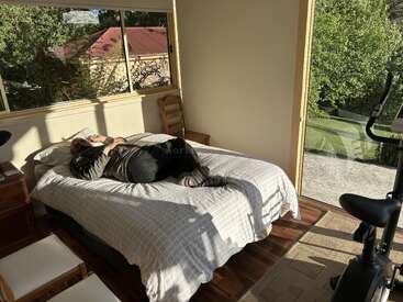 A person lies on a bed in a sunlit bedroom with large windows, wooden floor, exercise bike, chair, and a beautiful view of greenery outside.