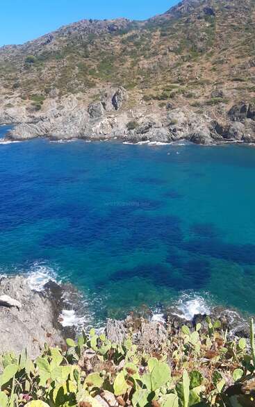 Kristallklares, türkisfarbenes Wasser trifft sanft auf zerklüftete Felsenklippen. Vor dem strahlend blauen Himmel gedeihen an der Küste Kaktusfeigen, die eine atemberaubende mediterrane Naturkulisse schaffen.