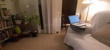 Ein gemütliches Wohnzimmer mit Bücherregalen, Zimmerpflanzen und einem Sofa. Ein Laptop steht auf einem Schoßtisch neben einer Lampe, die warmes Licht in den Raum wirft.