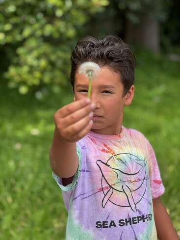 Un jeune garçon se tient dans un jardin verdoyant, tenant un pissenlit en direction de l'appareil photo. Il porte une chemise colorée de Sea Shepherd et semble concentré.