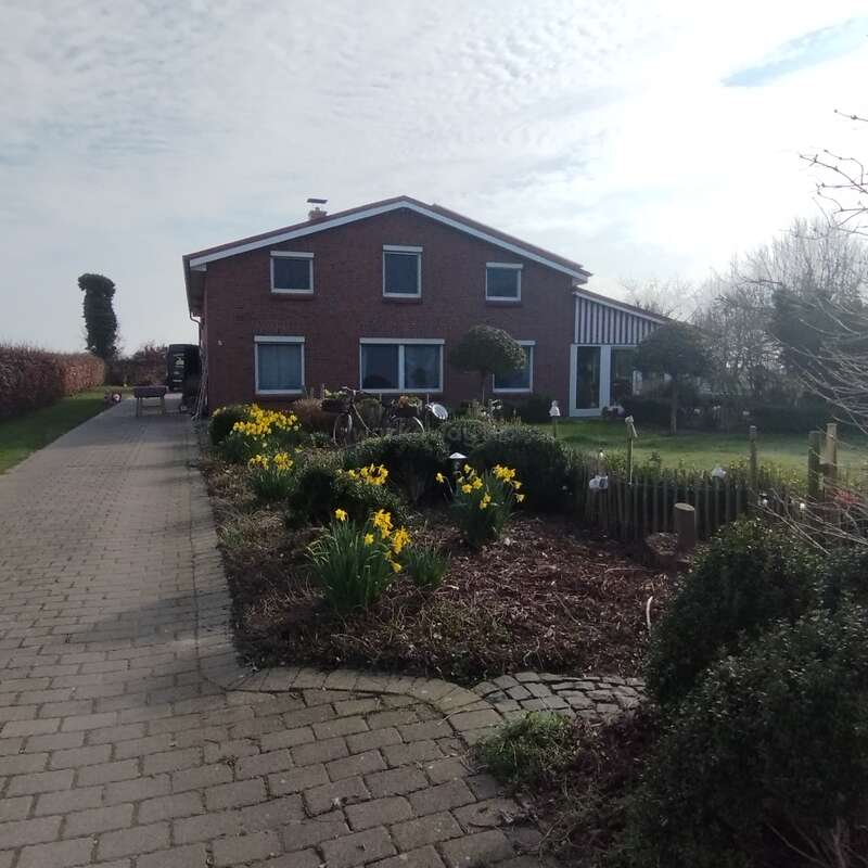 En arrière-plan se dresse une maison en briques aux fenêtres bordées de bleu. Un chemin pavé longe un jardin regorgeant de fleurs jaunes, d'arbustes et d'arbres d'ornement.