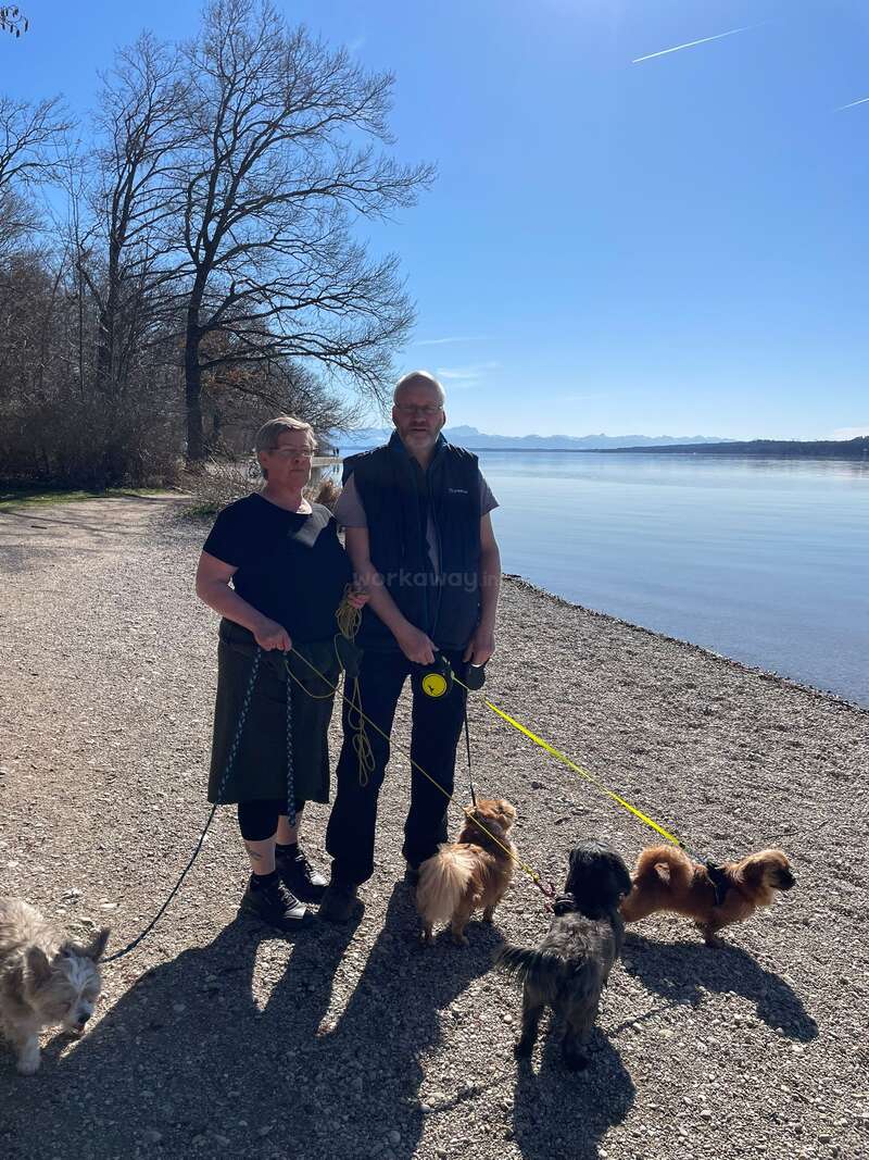 Un couple se tient près d'un lac paisible, tenant en laisse quatre petits chiens. Le soleil brille de mille feux, des arbres bordent la rive et on aperçoit les montagnes.