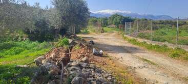 A rural dirt road runs between green fields and trees, with a rocky fence beside it. Snow-capped mountains rise in the background under a clear sky.