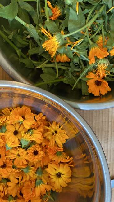 Das Bild zeigt zwei Metallschalen mit leuchtend orangefarbenen Blumen mit grünen Stielen, wahrscheinlich Ringelblumen, auf einer hellen Holzoberfläche.