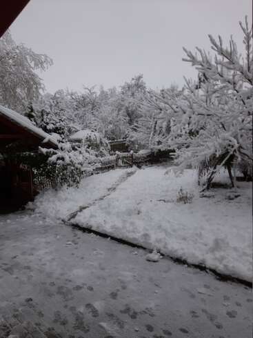 Un paisible jardin enneigé avec des arbres et un sol recouverts d'une épaisse couche de neige blanche, un chemin piétonnier dégagé, une clôture en bois, un ciel couvert et des empreintes de pas marquant la fraîcheur de la scène hivernale.