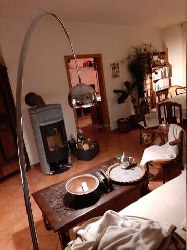 Salon confortable avec un élégant lampadaire en arc, un poêle à bois, des meubles en bois, des étagères, des plantes d'intérieur, un service à thé sur la table et un chien tranquillement assis.