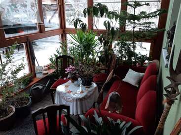 Une véranda confortable avec de grandes fenêtres, remplie de plantes vertes luxuriantes. Un canapé rouge, des chaises, une table ronde avec une nappe et des objets décoratifs créent une atmosphère chaleureuse et accueillante.