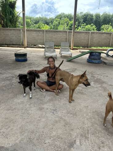 Una mujer sonriente está sentada en el suelo al aire libre, rodeada de tres perros. Detrás de ella hay tumbonas, neumáticos apilados y frondosos árboles verdes bajo un cielo nublado.
