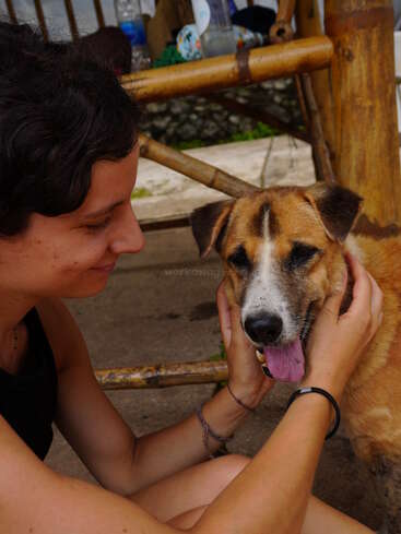 Una mujer sostiene suavemente la cara de un perro marrón feliz, sonriéndole. Están al aire libre cerca de muebles de madera, creando una interacción cálida y afectuosa.