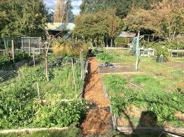 La imagen muestra un sereno jardín con arriates elevados, exuberante vegetación y un sinuoso sendero, como muestra de un tranquilo espacio exterior.