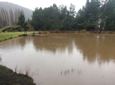 La imagen representa un sereno estanque con un muelle, rodeado de árboles y hierba, sobre un cielo gris, que evoca una sensación de calma y tranquilidad.