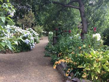 La imagen representa un sereno sendero ajardinado bordeado de vibrantes flores y exuberante vegetación, con un camino de grava y un majestuoso árbol de fondo.