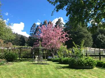 La imagen representa un sereno jardín trasero con un árbol de flores de color rosa intenso, una exuberante vegetación y un césped bien cuidado, todo ello sobre un cielo azul brillante con nubes blancas.
