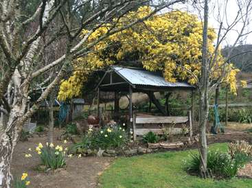 La imagen representa una serena escena de jardín con un cenador de madera con tejado de chapa ondulada, rodeado de vibrantes flores amarillas y exuberante vegetación.