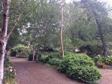 La imagen representa un sereno sendero ajardinado bordeado de árboles y arbustos, con una mezcla de vegetación y flores, sobre un fondo luminoso y soleado.