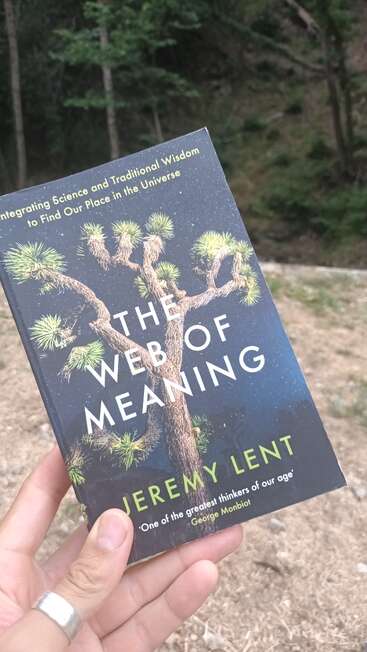 A hand holds the book "The Web of Meaning" by Jeremy Lent outdoors, with a forest background. The cover features a tree and starry night sky.