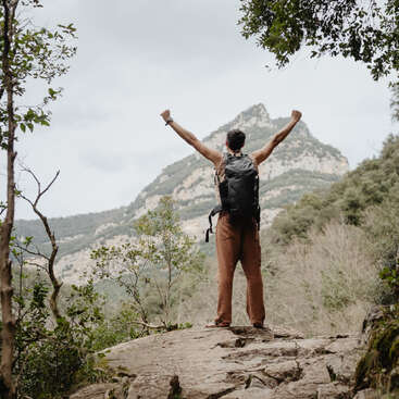 The image depicts a man standing on a rocky outcrop with his arms raised in triumph, overlooking a mountainous landscape with trees and bushes in the foreground.