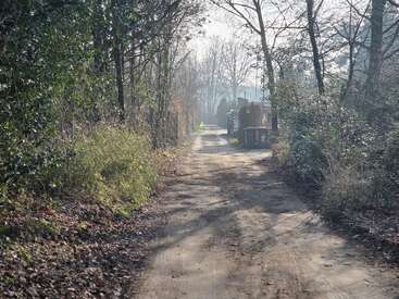 Un chemin de terre serpente à travers un quartier calme et bordé d'arbres par un matin brumeux. La lumière du soleil filtre à travers les branches, projetant des ombres et illuminant le feuillage épars qui borde le chemin.