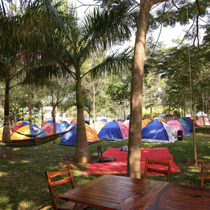 This image shows a colorful campsite with numerous tents set up among tall trees. Hammocks, tables, and chairs create a relaxed outdoor atmosphere, ideal for gatherings.