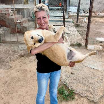 Una persona sonriente está de pie al aire libre, sosteniendo en brazos a un perro grande y relajado. La escena parece alegre en un refugio o centro de rescate de animales con recintos vallados.
