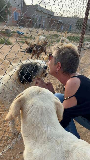 Una mujer se arrodilla junto a una valla e interactúa cariñosamente con un perro peludo. Otros perros están cerca, en un recinto al aire libre, creando una escena conmovedora.