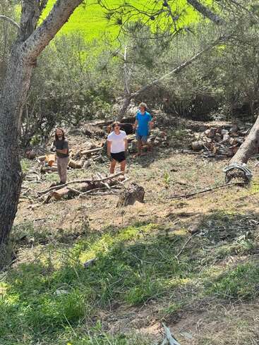 Tres personas están de pie en una ladera cubierta de hierba y árboles, junto a árboles talados y leña cortada. La luz del sol se filtra a través de las ramas. Al fondo, un prado verde brilla intensamente.