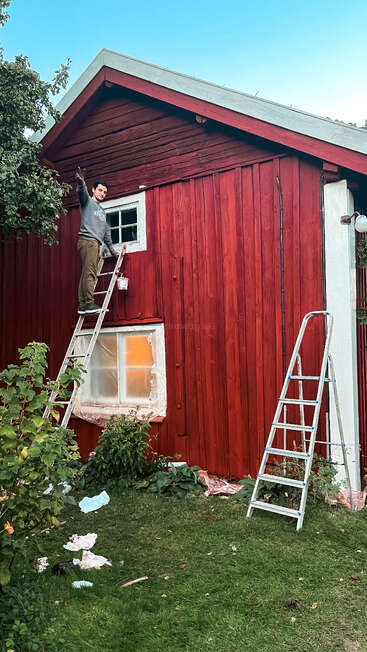 Eine Person steht auf einer Leiter und streicht ein rotes Holzhaus und macht ein Friedenszeichen. Eine weitere Leiter steht in der Nähe. Grünes Gras und Pflanzen umgeben das Haus.