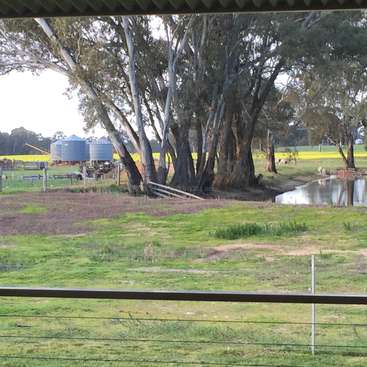 The image depicts a serene rural landscape featuring a grassy field, trees, a creek, and a fence, with distant farm equipment and silos in the background.