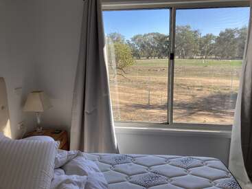 A sunlit bedroom features an unmade bed, bedside table with a lamp, large window with curtains, and a scenic view of trees and open fields outside.