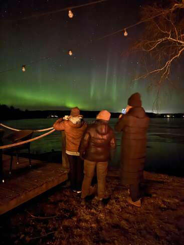 Three people in winter clothing stand outside at night, watching and photographing the vibrant green Northern Lights, with hanging bulbs and a tree branch overhead.