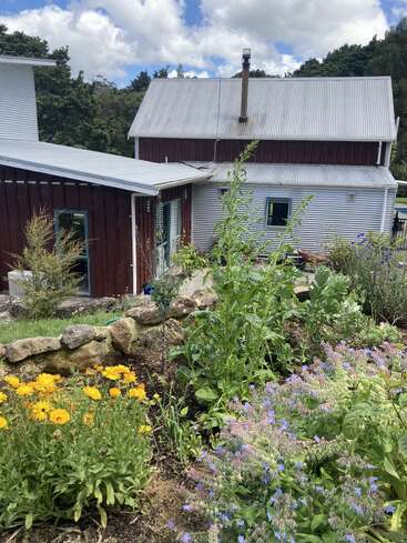 Ein üppiger Garten voller bunter Blumen und Grünzeug gedeiht vor einem rustikalen Haus mit roten und weißen Wellblechwänden und einem Dach.